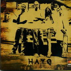   H.A.Y.Q